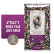 BIRD FD BERRY BURST  5#