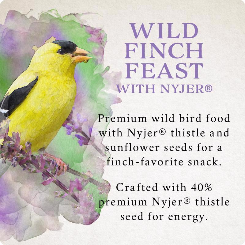 Songbird Selections Wild Finch Feast with Nyjer Wild Bird Seed Wild Bird Food 10 lb
