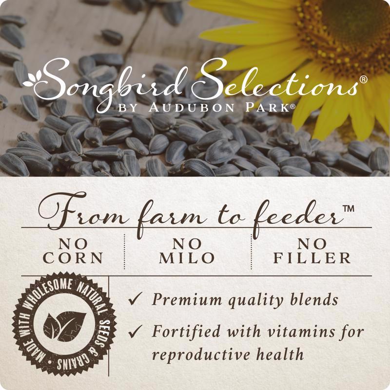 Songbird Selections Wild Finch Feast with Nyjer Wild Bird Seed Wild Bird Food 10 lb
