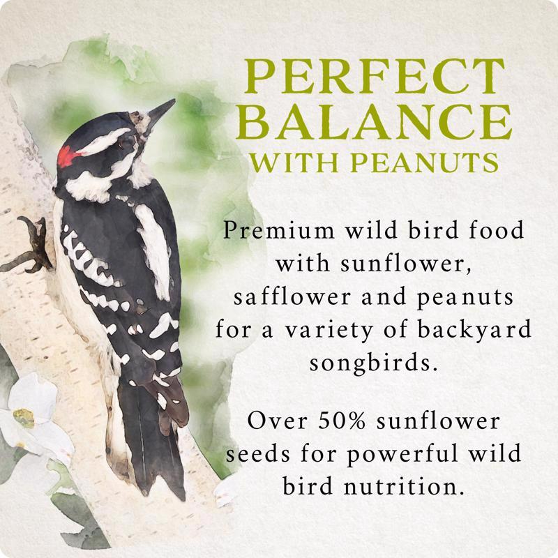 Songbird Selections Perfect Balance with Peanuts Wild Bird Seed Wild Bird Food 10 lb