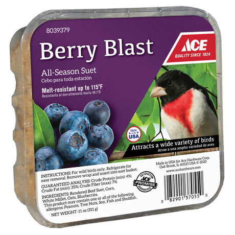 Ace Berry Blast Assorted Species Beef Suet 11 oz