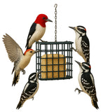 Complete Bird Feeder Starter Kit – Includes Suet Cage, 8 oz Hummingbird Nectar Feeder & 1.7 lb Wild Bird Hopper Feeder, Easy to Use for Backyard Birdwatching
