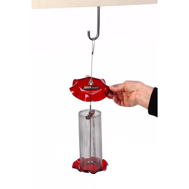 BIRD FEEDER WILD BIRD RD