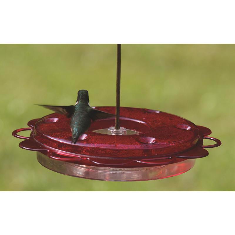 Birds Choice Hummingbird 0.75 oz Polycarbonate Hanging Nectar Feeder 6 ports