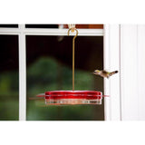 Birds Choice Hummingbird 0.75 oz Polycarbonate Hanging Nectar Feeder 6 ports