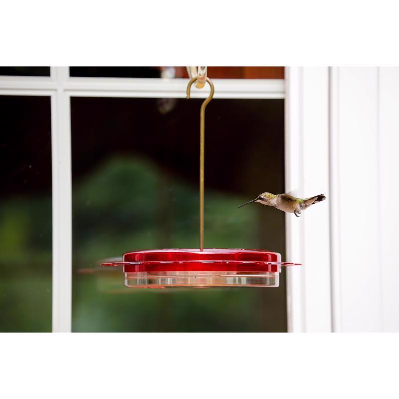 Birds Choice Hummingbird 0.75 oz Polycarbonate Hanging Nectar Feeder 6 ports