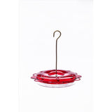 Birds Choice Hummingbird 0.75 oz Polycarbonate Hanging Nectar Feeder 6 ports