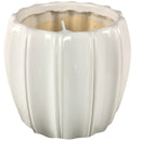 Outdoozie Assorted Ceramic 4 in. H Contour Citronella Candle