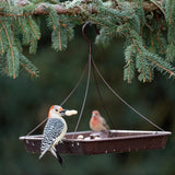 More Birds Wild Bird 6 lb Steel 3-in-1 Platform Bird Feeder 1 ports