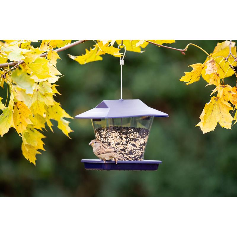 More Birds Perky-Pet Wild Bird 1.7 lb Plastic Hopper Bird Feeder