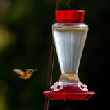 More Birds Hummingbird 28 lb Glass/Plastic Bird Feeder 4 ports