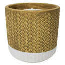 Trendspot Assorted Ceramic 4 in. H Reed Citronella Candle