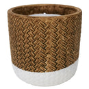 Trendspot Assorted Ceramic 4 in. H Reed Citronella Candle