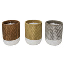 Trendspot Assorted Ceramic 4 in. H Reed Citronella Candle