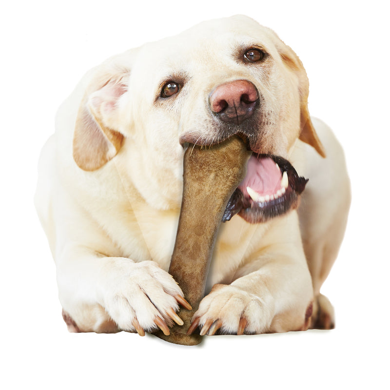 Nylabone Nubz Edibles Beef Chews For Dogs 6.7 oz 1 pk