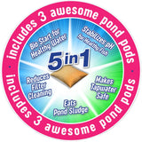 Pennington Aquagarden 1 ft. 0.4 HP 190 gph 120 V Pond Pump Kit