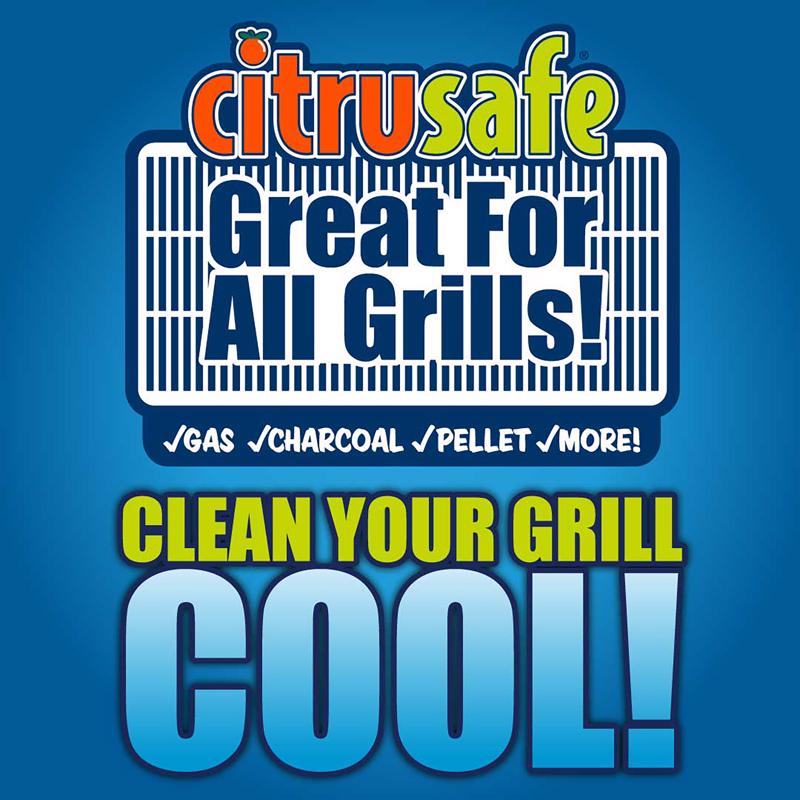 Citrusafe Grill Dual Head Brush 1 pk