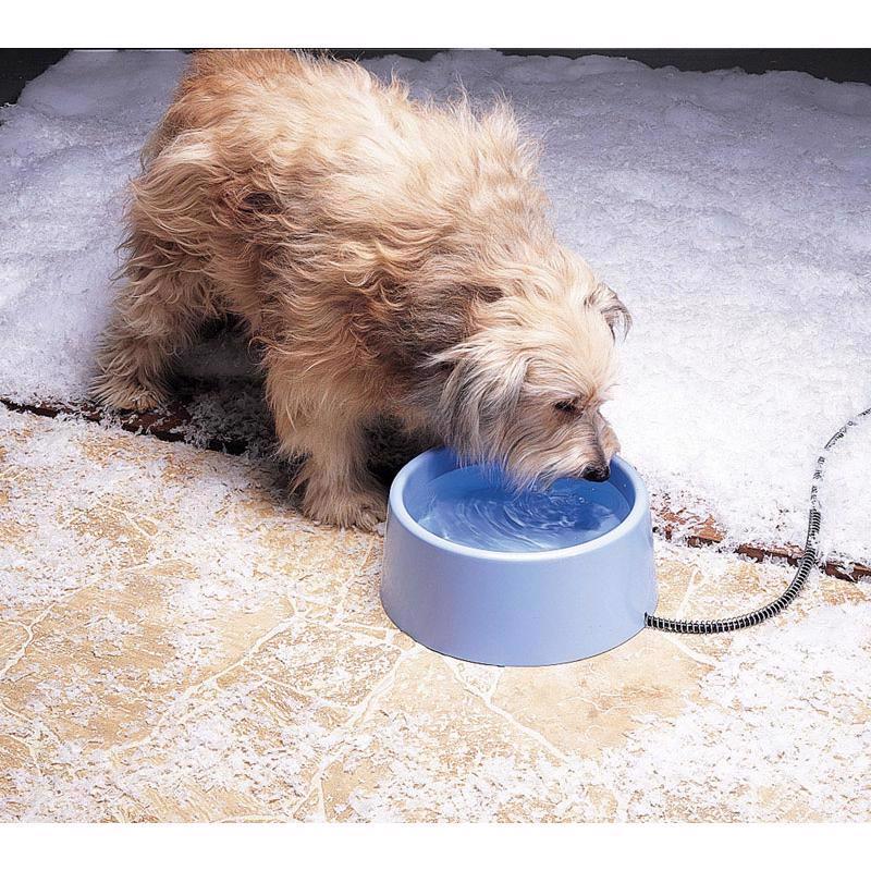 API Blue Plastic 5 qt Heated Pet Bowl For Dogs