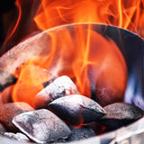 FOGO Coconut Shell Briquets All Natural Charcoal Briquettes 15.4 lb