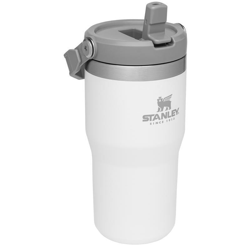 Stanley The IceFlow 20 oz Double-wall vacuum insulation Polar BPA Free Insulated Straw Tumbler