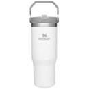 INSL STRW TMBL POLR 30OZ