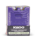 Igloo Ice Pack Assorted 1 pk