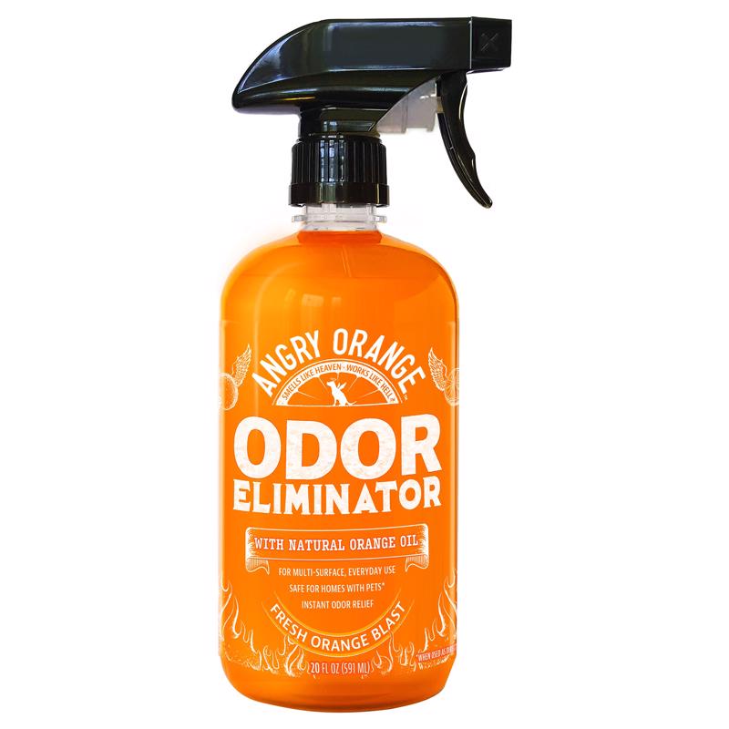 ODOR REMOVER LQD 20OZ