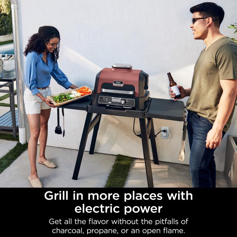 Ninja Electric Grill and Smoker Rust