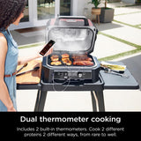 Ninja Electric Grill and Smoker Rust
