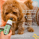 Natural Dog Company Dog Skin/Coat Grooming Solution 2 oz 1 pk