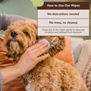 Natural Dog Company Dog Wound and Skin Solution