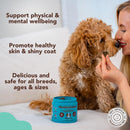 Natural Dog Company Dog Precision Nutrition Multi-Vitamins 9.5 oz