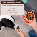 Natural Dog Company Dog Skin and Coat Supplement 9.5 oz