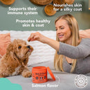 Natural Dog Company Dog Skin and Coat Supplement 9.5 oz