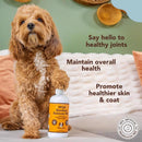 Natural Dog Company Dog Nutritional Supplement 16 oz