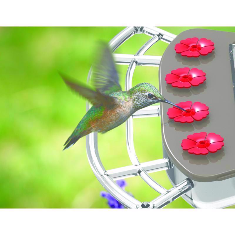 Feit Bird Genius Smart Feeder Wild Bird 2.5 L Plastic Bird Feeder 1 ports