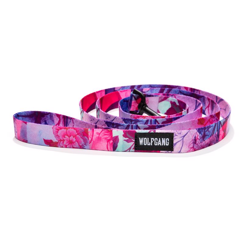 NS LEASH DAYDREAM DOG 6'