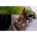 Wolfgang Pink DayDream Polyester Dog Leash Medium/Large