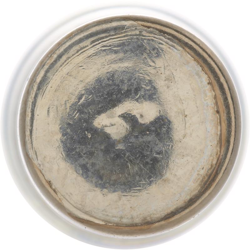 Philips Longer Life Incandescent Courtesy/Glove/License/Trunk Miniature Automotive Bulb 211-2LLB2