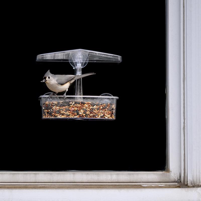 Droll Polycarbonate Window Feeder