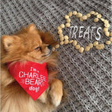 Charlee Bear Original Crunch Chicken Liver Biscuit For Dogs 16 oz 1 pk