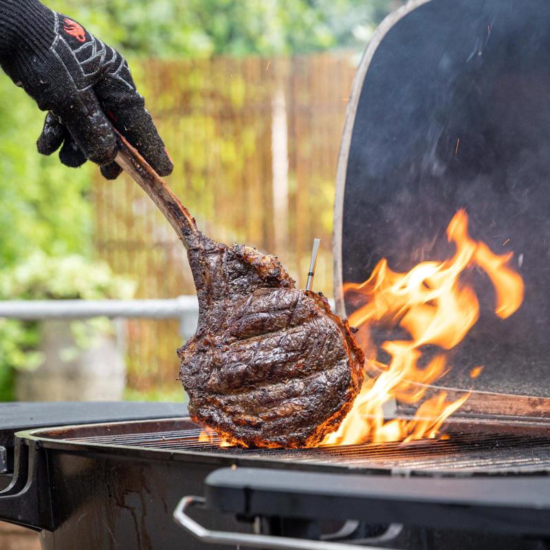 Meater 2 Plus Bluetooth Enabled Grill Thermometer