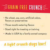 Charlee Bear Grain Free Crunch Chicken/Pumpkin/Apple Grain Free Biscuit For Dogs 8 oz 1 pk
