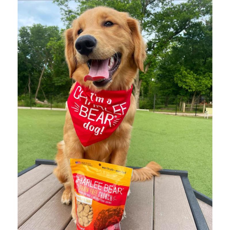 Charlee Bear Grain Free Crunch Chicken/Pumpkin/Apple Grain Free Biscuit For Dogs 8 oz 1 pk