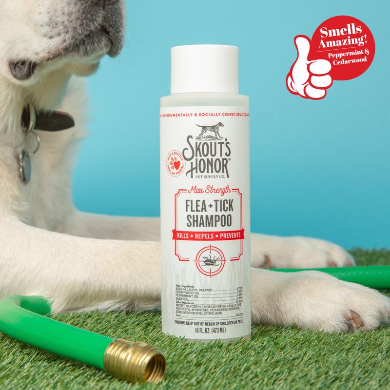 Skout's Honor White Cedarwood/Peppermint  Dog Flea and Tick Shampoo 16 oz 1 pk