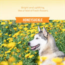 Skout's Honor Honeysuckle Cat/Dog Shampoo and Conditioner 16 oz 1 pk