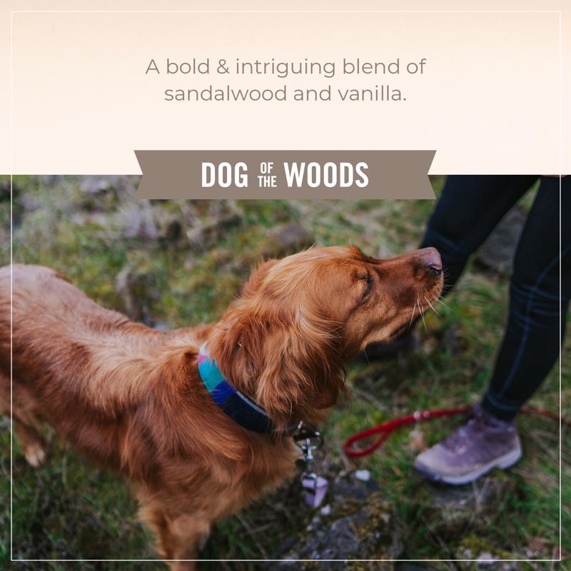Skout's Honor Sandalwood Vanilla Cat/Dog Shampoo and Conditioner 16 oz 1 pk