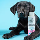 Skout's Honor Lilac and Linen Cat/Dog Shampoo and Conditioner 16 oz 1 pk