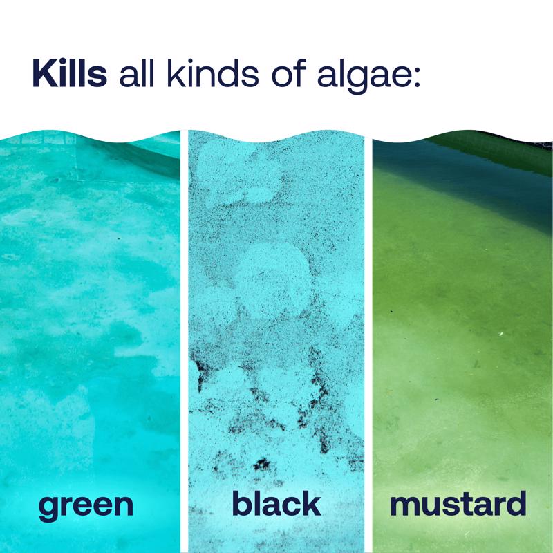 HTH Super Liquid Algae Guard 1 qt