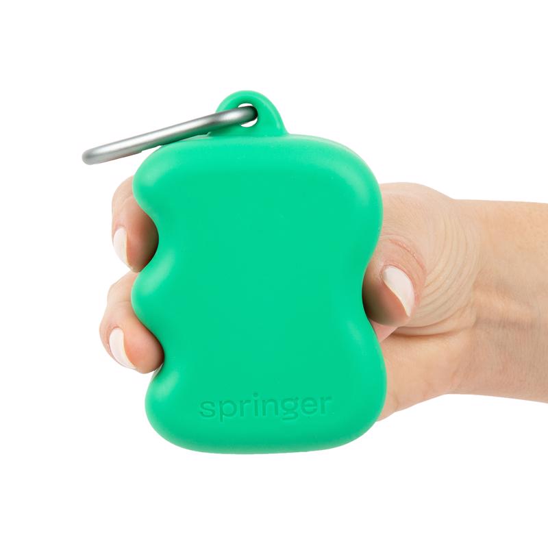 Springer Green Rubber Treat Pouch 1 pk